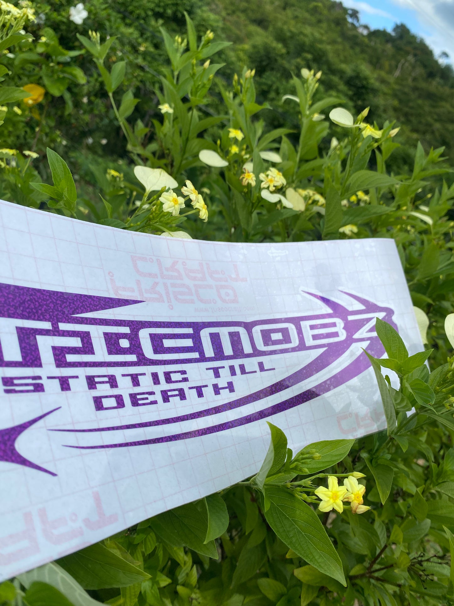 Y2K Static Till Death Banner